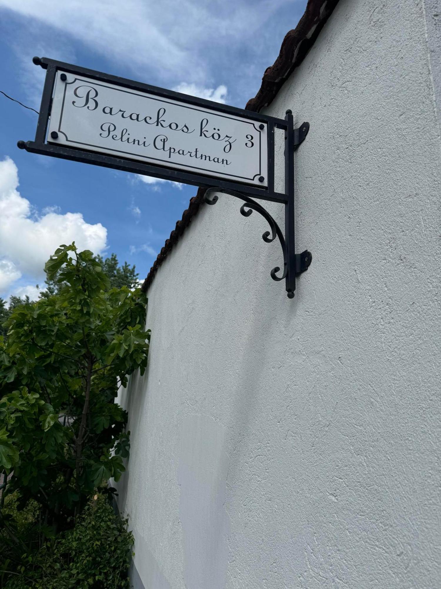 Pelini - 2 Aparthotel Szentendre Eksteriør bilde